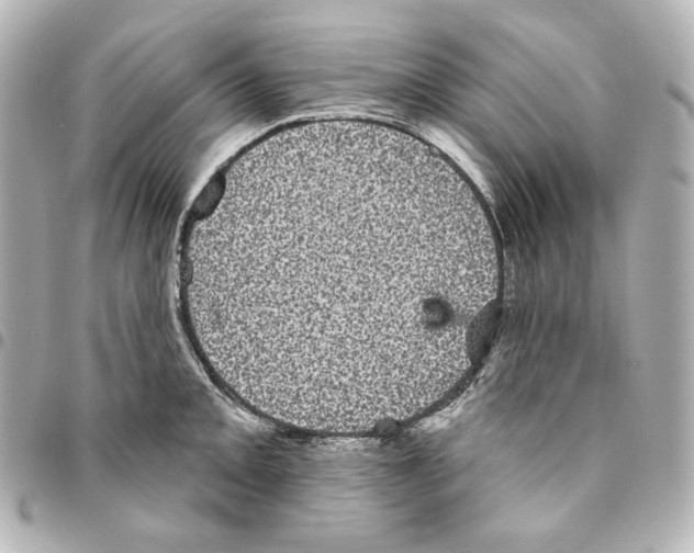 X0000094961093200712201155