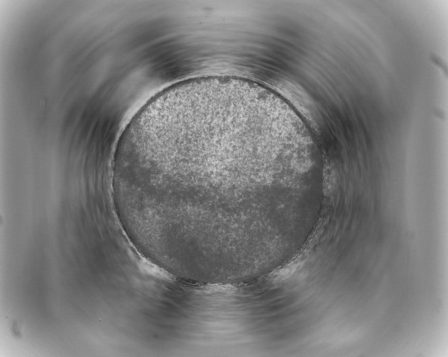 X0000094961094200712201155