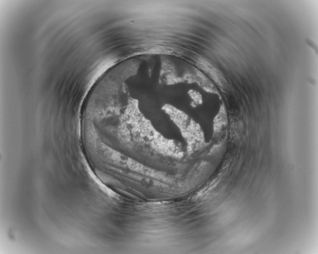 X0000094961095200712201155