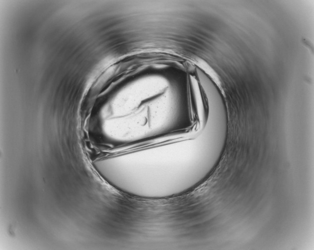 X0000094961096200712201155