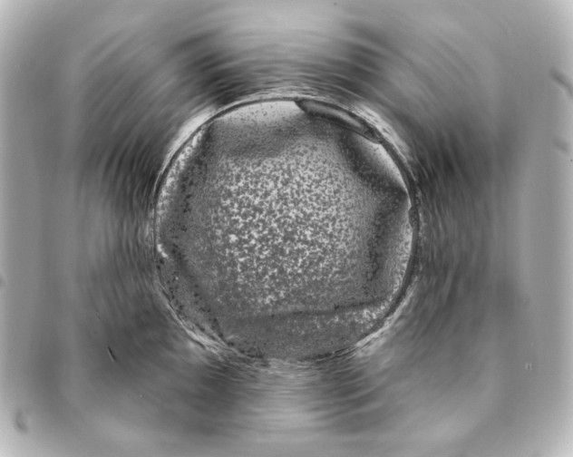 X0000094961097200712201155