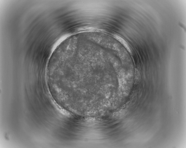 X0000094961098200712201155