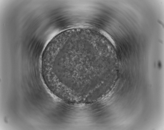 X0000094961099200712201155