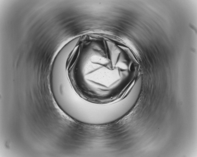 X0000094961100200712201155