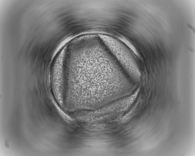 X0000094961101200712201155