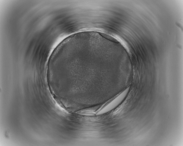 X0000094961102200712201155