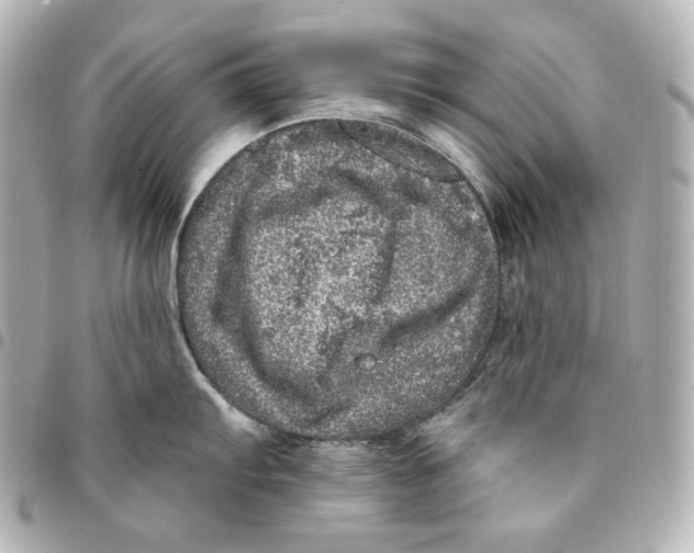 X0000094961103200712201155