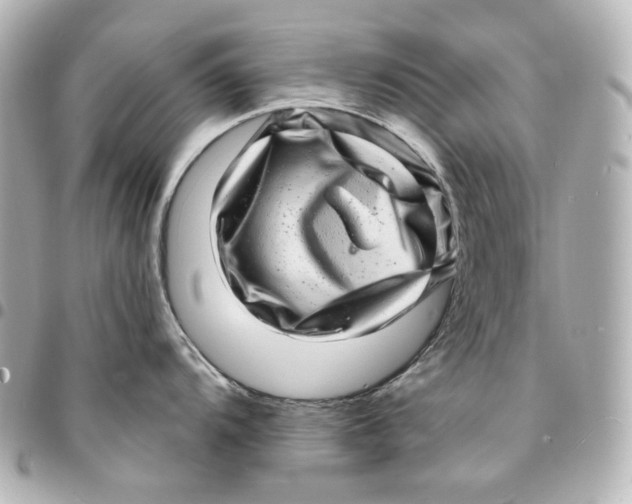 X0000094961104200712201155