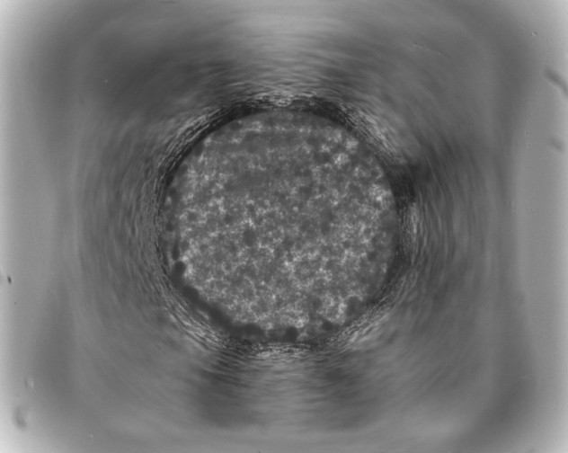 X0000094961105200712201154