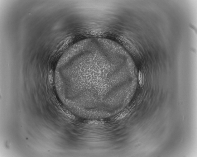 X0000094961107200712201154