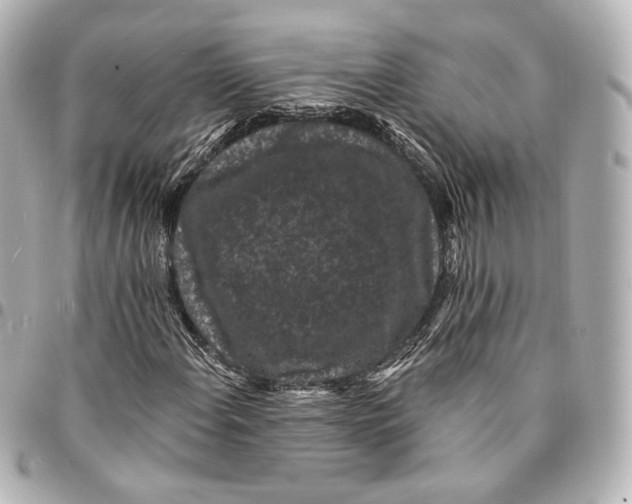 X0000094961108200712201154