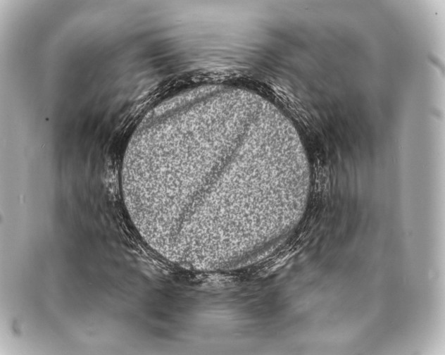 X0000094961109200712201154