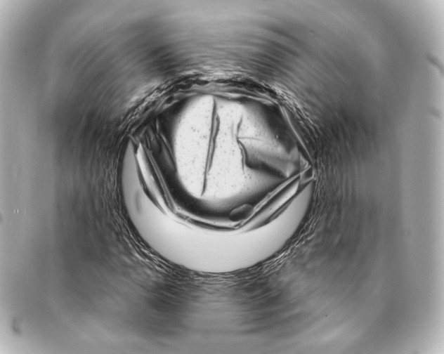 X0000094961110200712201154