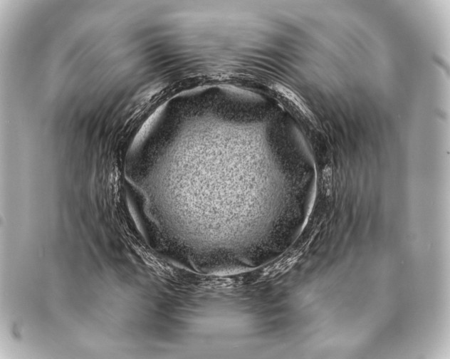 X0000094961111200712201154