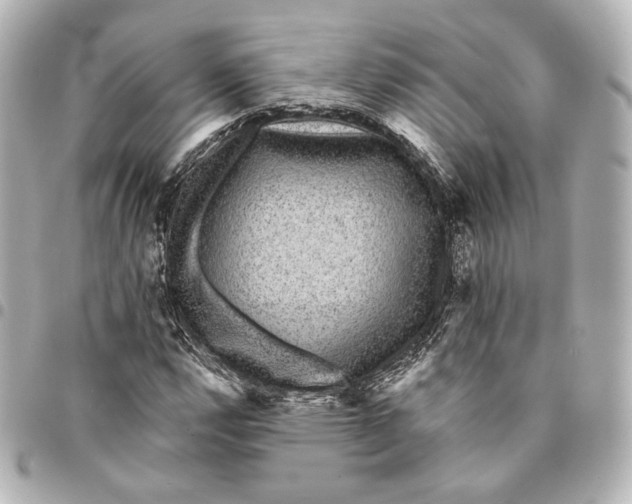 X0000094961112200712201154