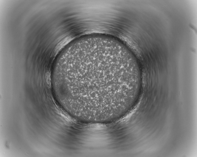 X0000094961113200712201154