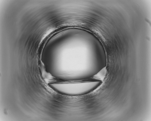 X0000094961114200712201154