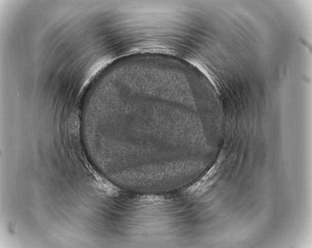 X0000094961115200712201154