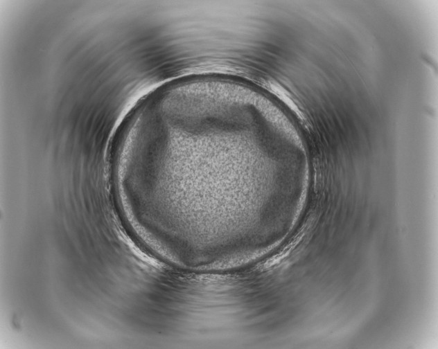 X0000094961116200712201154