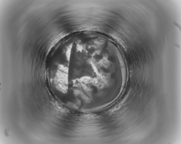 X0000094961117200712201154