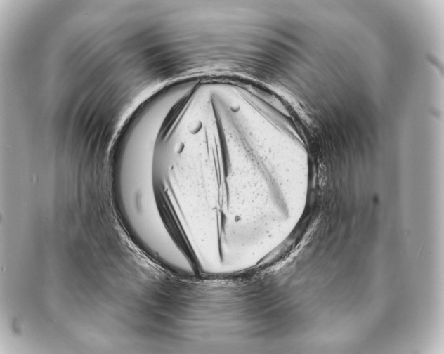 X0000094961118200712201154