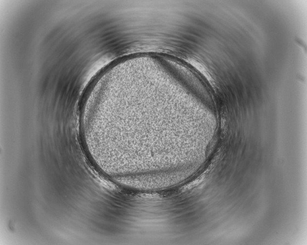 X0000094961119200712201154