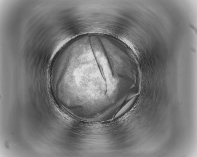 X0000094961120200712201154