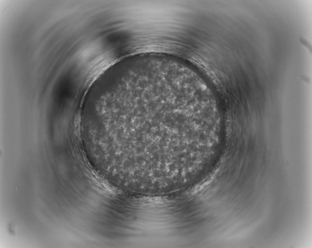 X0000094961121200712201154