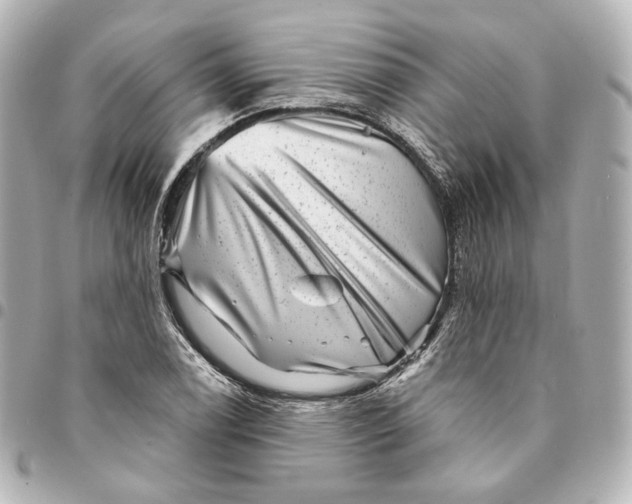 X0000094961122200712201154