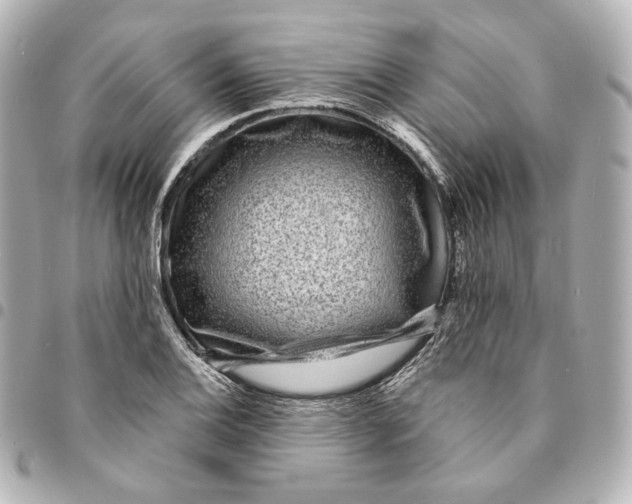 X0000094961124200712201154