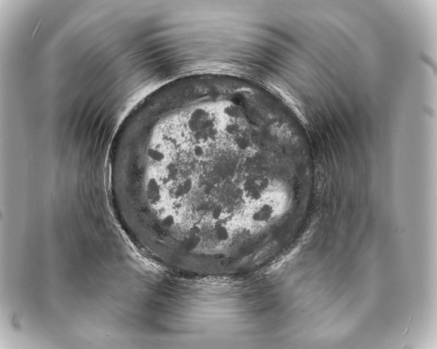 X0000094961125200712201154