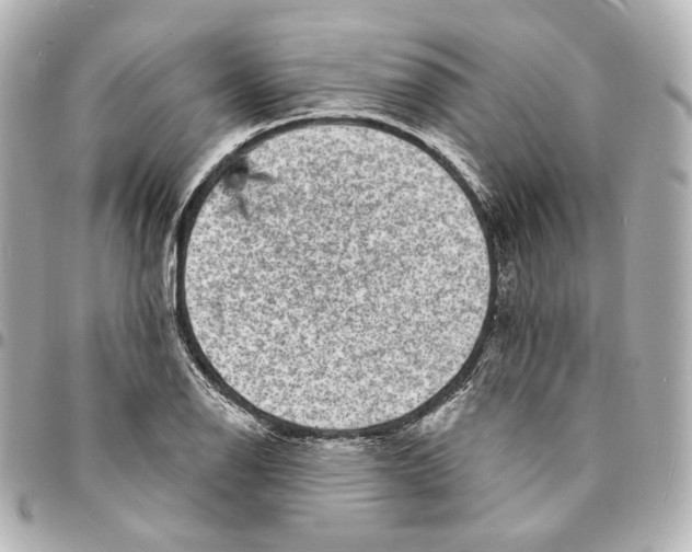 X0000094961126200712201154