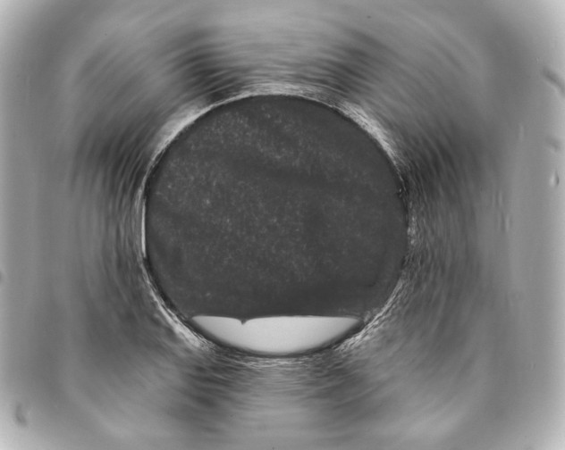 X0000094961127200712201154