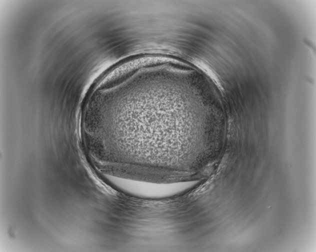 X0000094961128200712201154