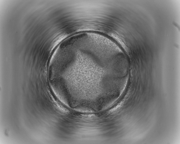 X0000094961129200712201154