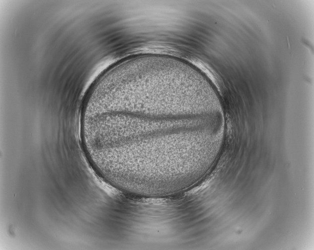 X0000094961131200712201154