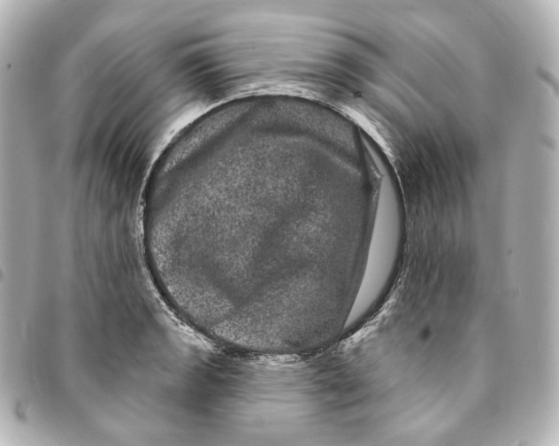 X0000094961133200712201154