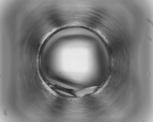 X0000094961134200712201154