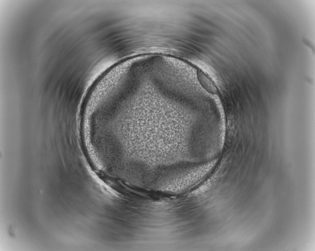 X0000094961135200712201154