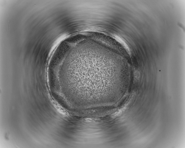 X0000094961138200712201154