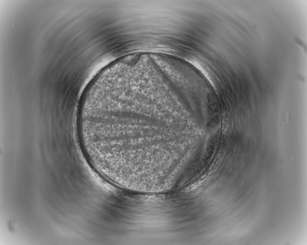 X0000094961139200712201155