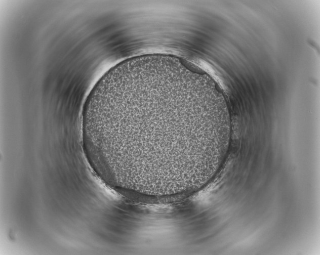 X0000094961140200712201155