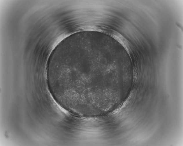 X0000094961141200712201155