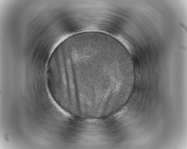 X0000094961142200712201155