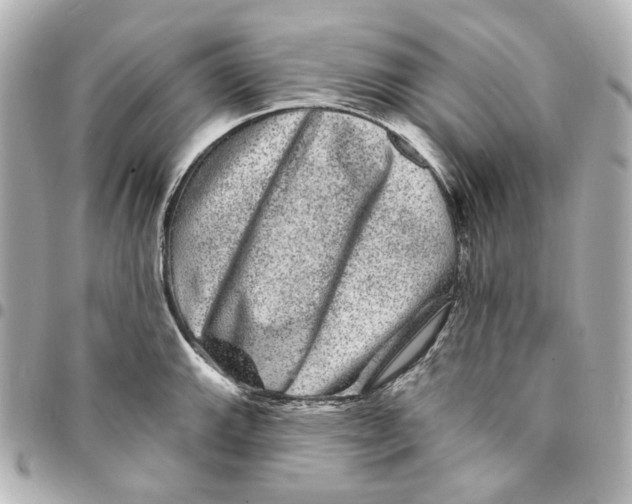 X0000094961143200712201155