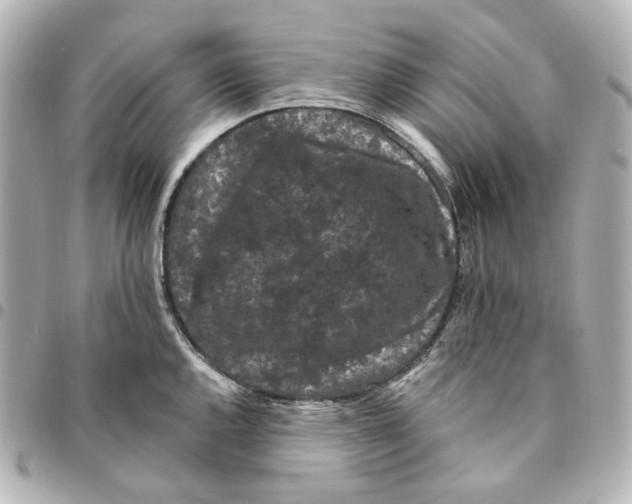 X0000094961144200712201155