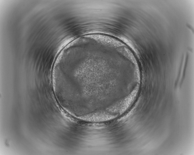 X0000094961145200712201155