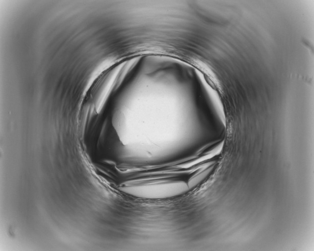 X0000094961146200712201155