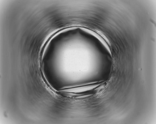 X0000094961148200712201155