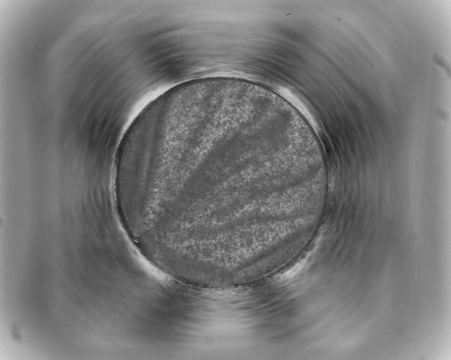 X0000094961149200712201155